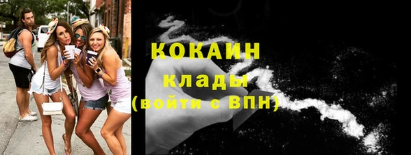 гашик Алексин