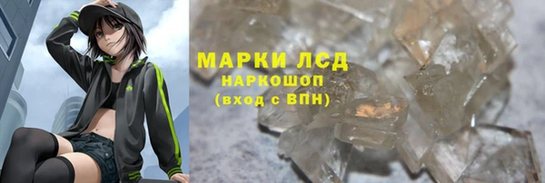 гашик Алексин