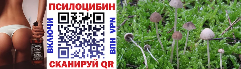 Галлюциногенные грибы ЛСД  где продают   кракен рабочий сайт  Санкт-Петербург 